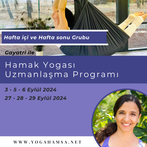 YogaHamsa Hamak Yogası Uzmanlaşma Programı