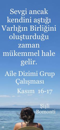 Aile Sistem Dizilimi - Meditasyona Tanık Olmak