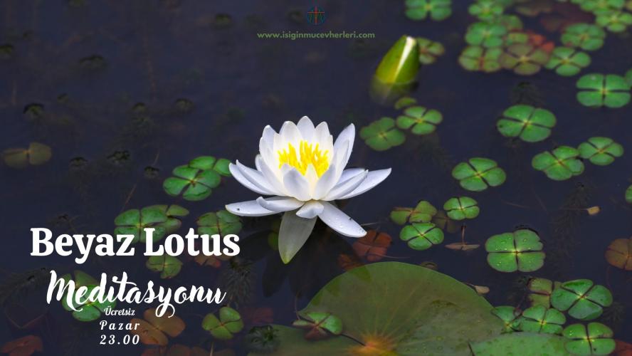 Beyaz Lotus Meditasyonu