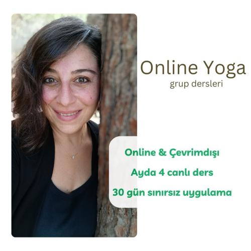 Nina ile Online Yoga (Her Seviye)