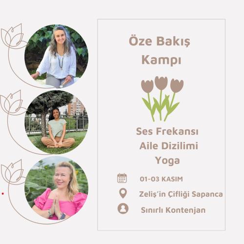 Öze Bakış Kampı - Yoga, Ses Frekansları ve Aile Sistem Dizilimi