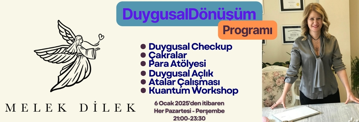 Duygusal Dönüşüm Programı