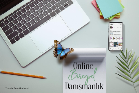 Online Bireysel Danışmanlık