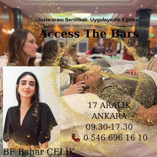 Access The Bars Semineri