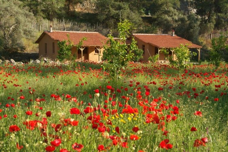 Pastoral Vadi Konaklama Kerpiç 2 Odalı