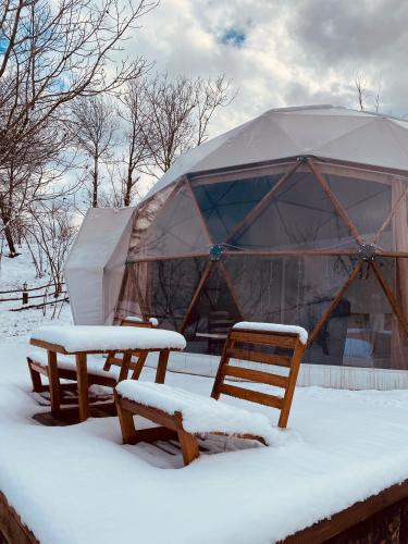 Phalesia Glamping Sapanca / Üç Kişilik Dome Çadırda / Kişi Başı Konaklama