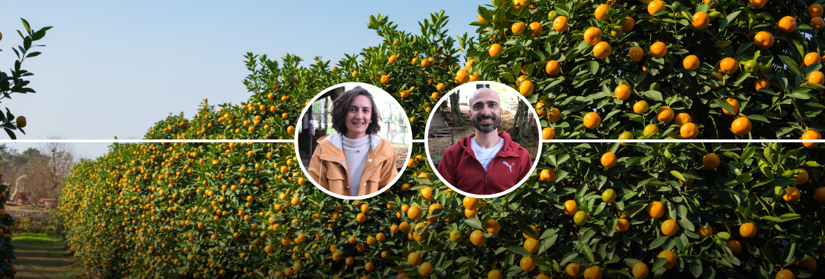 Çıralı Yeni Yıl Yoga ve Meditasyon Kampı | Burcu ve Özkan 71. Kamp Çıralı Yeni Yıl Yoga ve Meditasyon Kampı | Burcu ve Özkan 71. Kamp