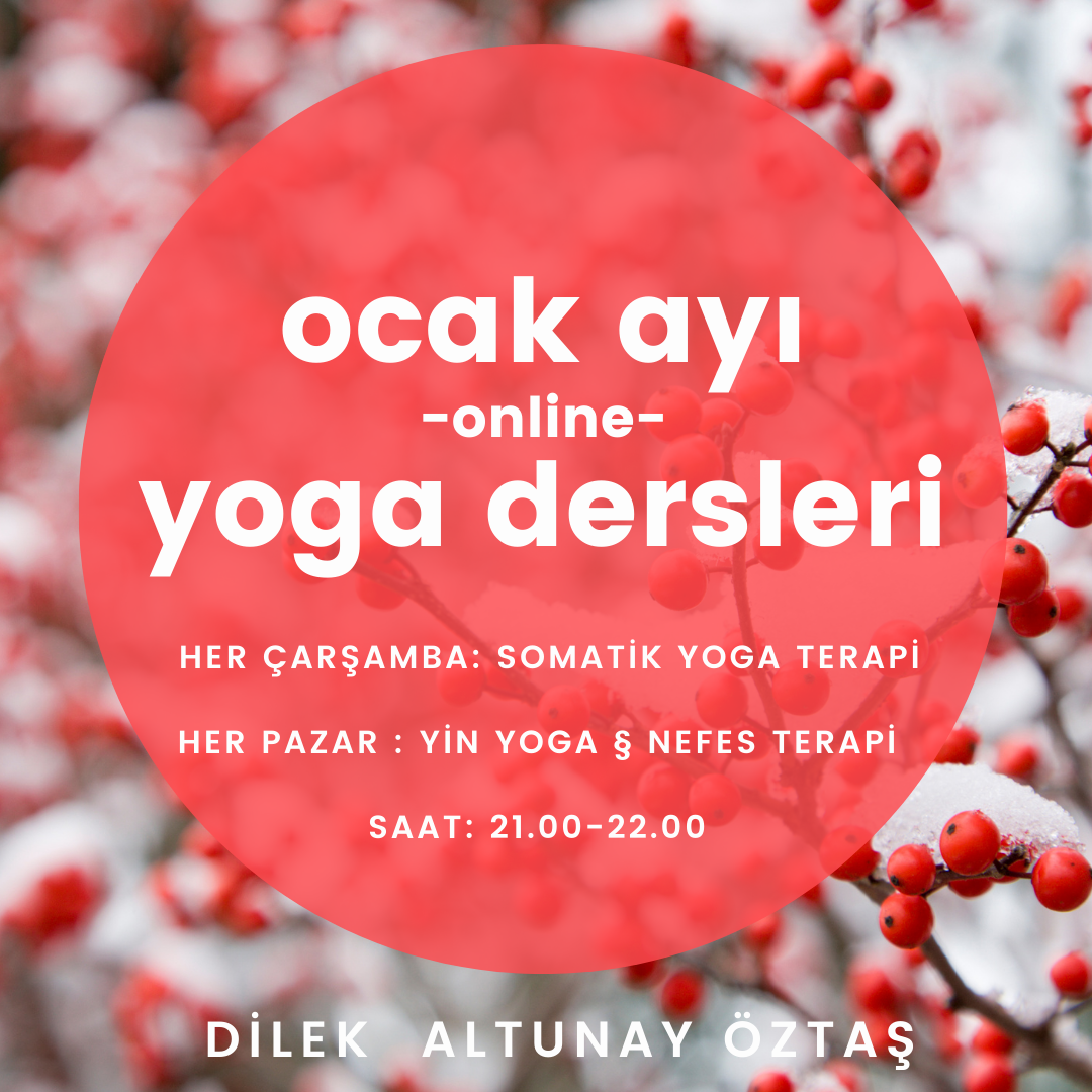 Ocak Ayı Somatik ve Yin Yoga Dersleri